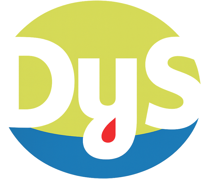 logo dys