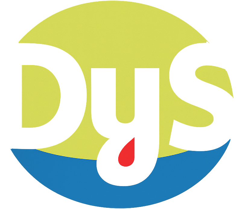 logo dys 2